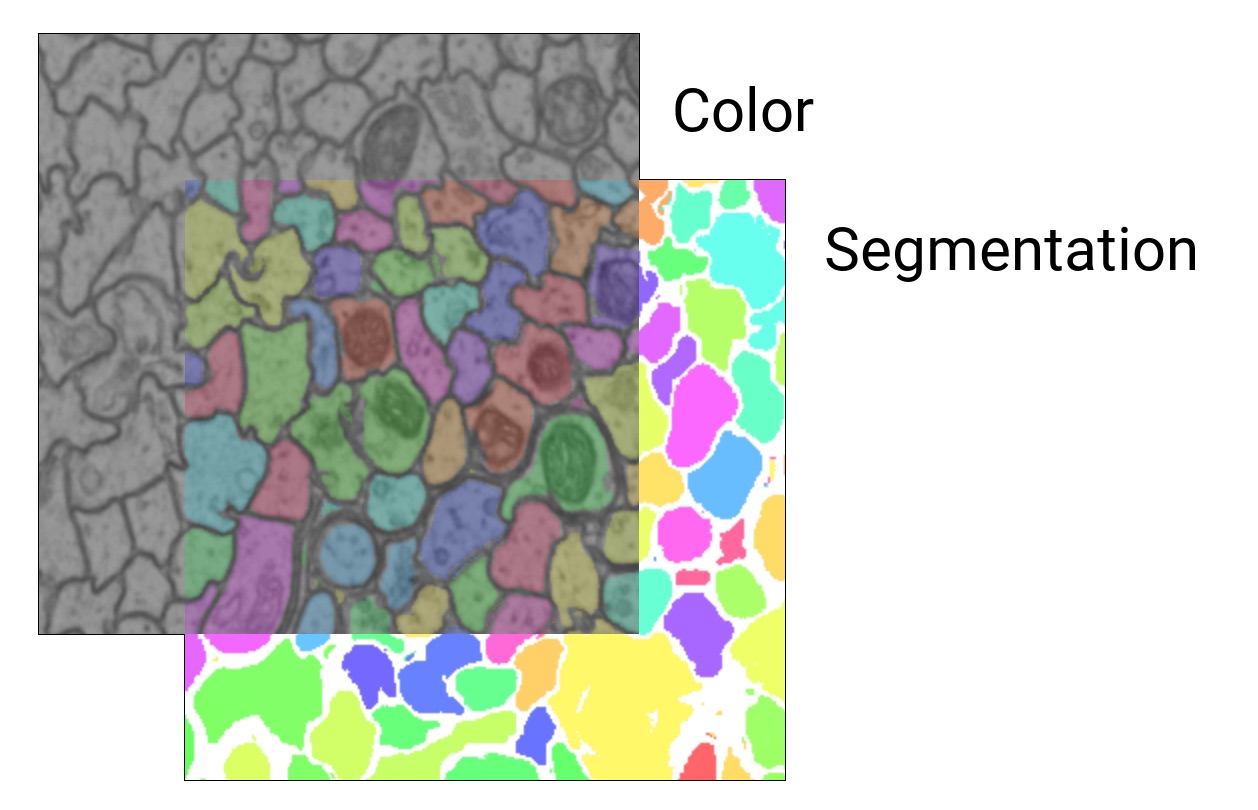 Color and Segmentation Layers