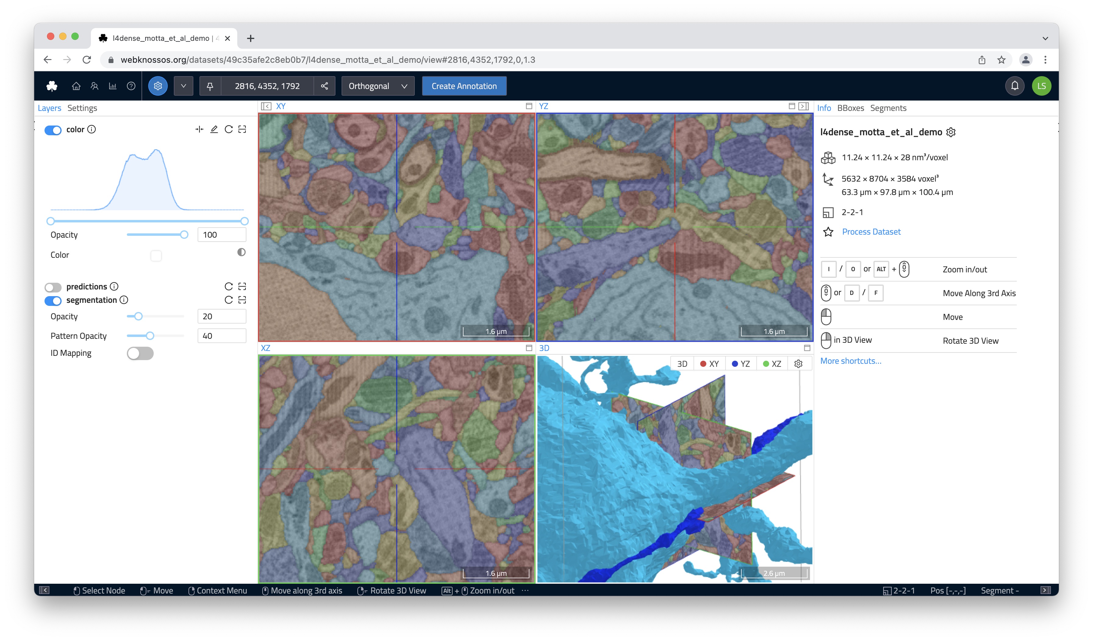 The webKnossos user interface consisting of three orthogonal viewports slicing the data along the major axis and a 3D viewport.