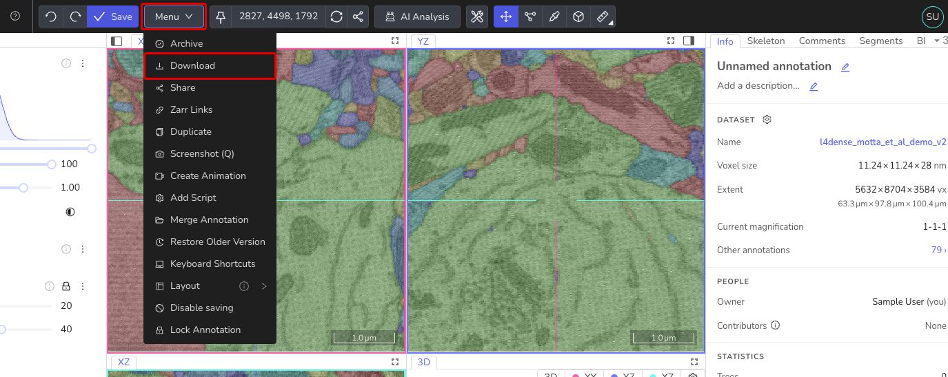 Download of skeleton annotations via the ´Download´ button in the toolbar.